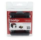 Evolis CBGR0100C printer ribbon 100 pages