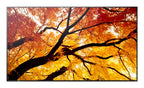 Sharp MultiSync M432 Digital signage flat panel 108 cm (42.5") LCD 550 cd/m² 4K Ultra HD Black