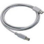 Datalogic Straight Cable - Type A USB USB cable