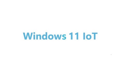 Advantech Win 11 IoT Ent Commercial 1 license(s) Electronic Software Download (ESD) English 2 year(s) 24 month(s)