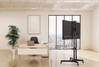 Equip Economy Multi-functional TV Cart