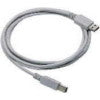 Datalogic Straight Cable - Type A USB USB cable