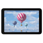Bluebird T30, 25,7cm (10,1''), GPS, USB-C, BT, Wi-Fi, eSIM, 5G, NFC, Android, GMS, RB